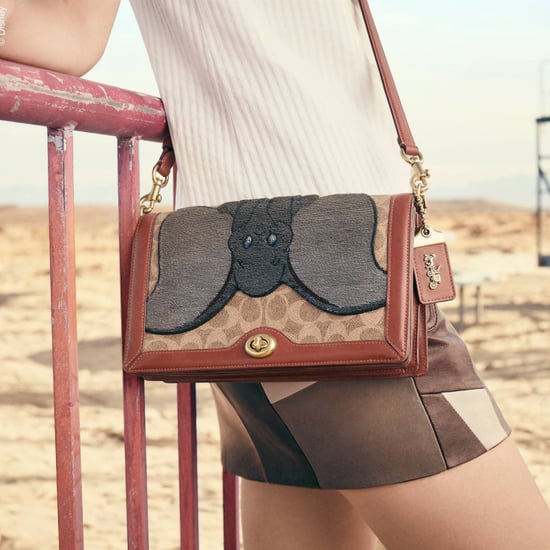 Disney Coach Best Products 2019