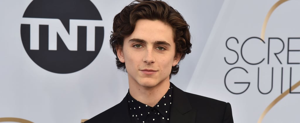 A Fan Sat Next to Timothée Chalamet on a Flight, and He Sounds Just as Nice as We Imagined