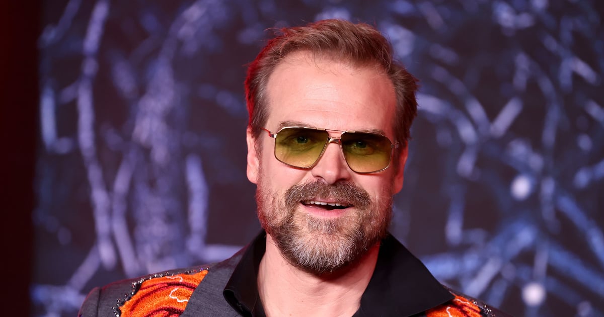 David Harbour Wishes “Euphoria” Star to Enjoy Him in Spinoff