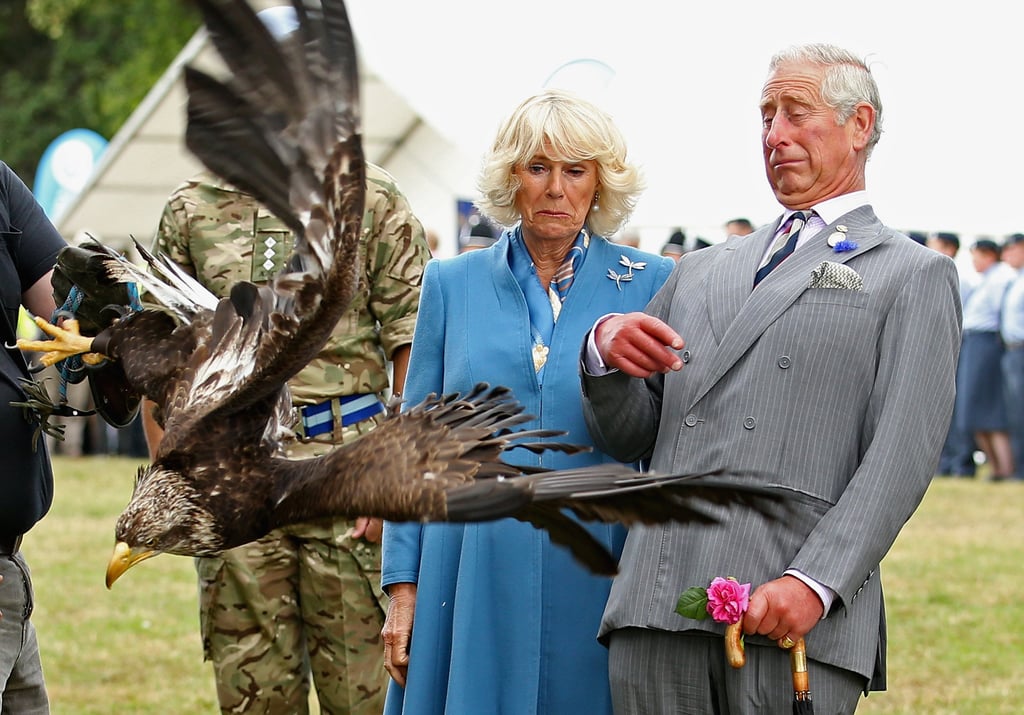 Prince Charles Camilla Freak Out at Eagle