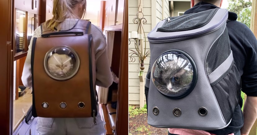 Caterpillar 2025 backpack review