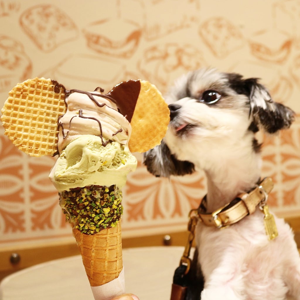 Of course, I had to cool off with some gelato that basically was the size of me!