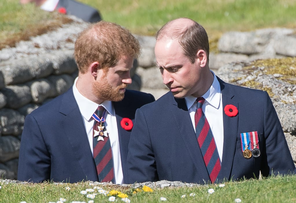 Prince William and Prince Harry at Anniversary of Vimy Ridge