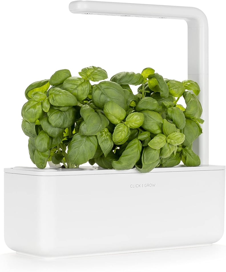 A Cooking Essential: Click & Grow Indoor Herb Garden Kit