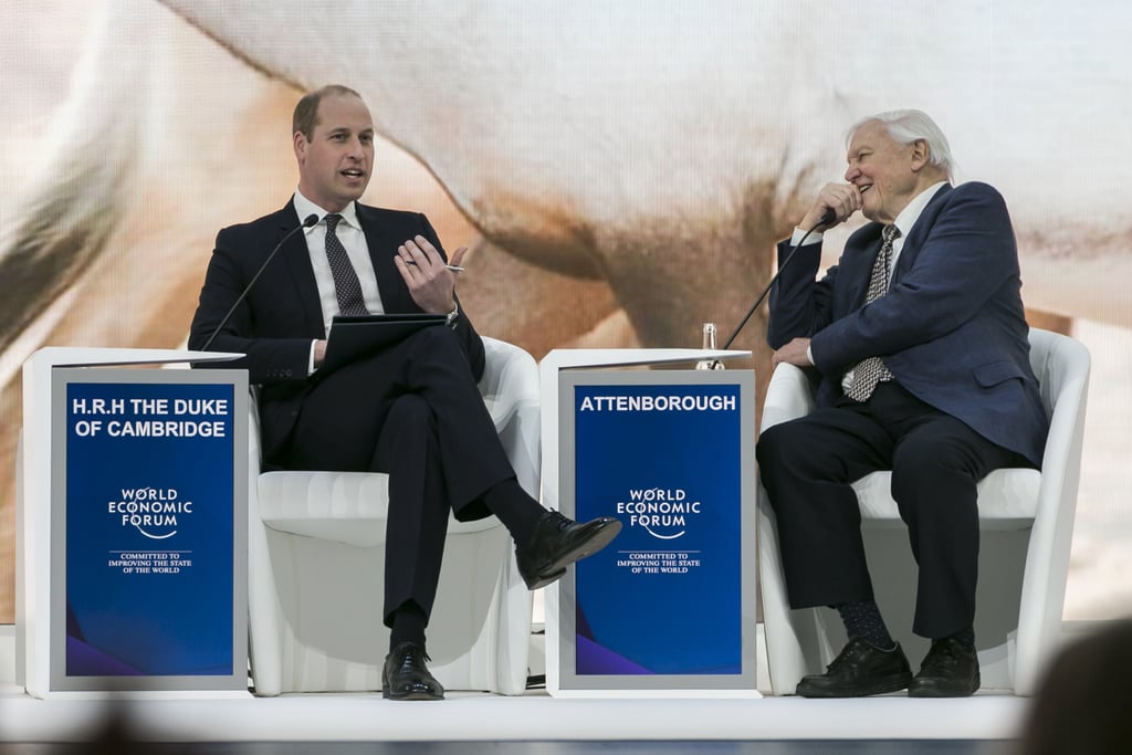 Prince William Talks With David Attenborough January 2019
