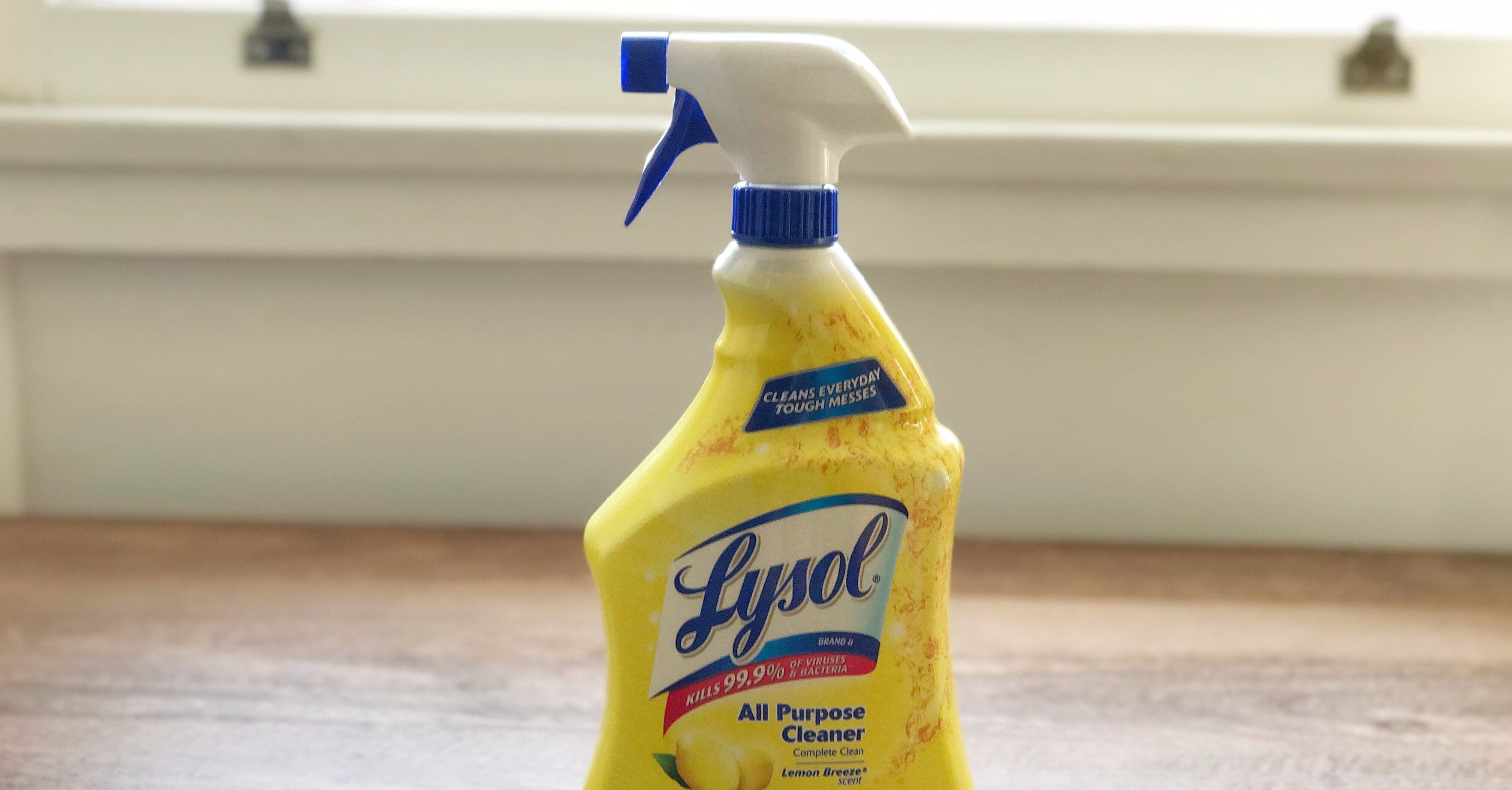 DIY Oven Cleaner  POPSUGAR Smart Living