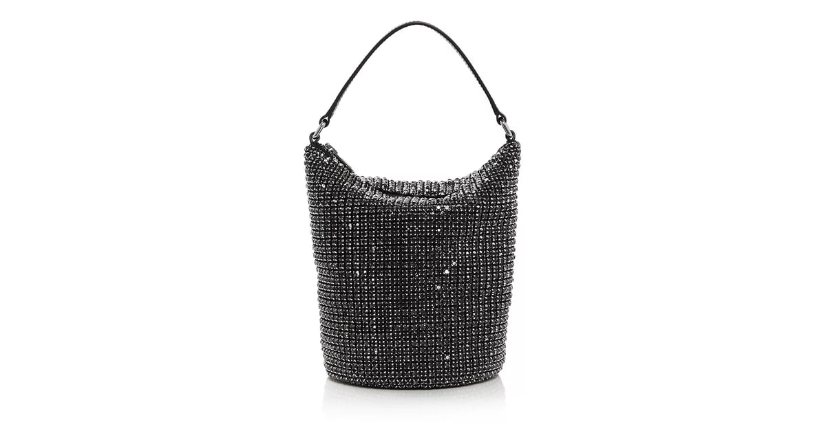 Alexander Wang Drysack Rhinestone Pouch Handbags Stormi ster Carrying Alexander Wang Bag on