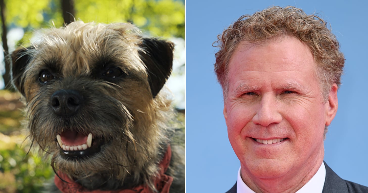 See Will Ferrell, Jamie Foxx, and the Rest of the “Strays” Cast Next to Their Canine Counterparts