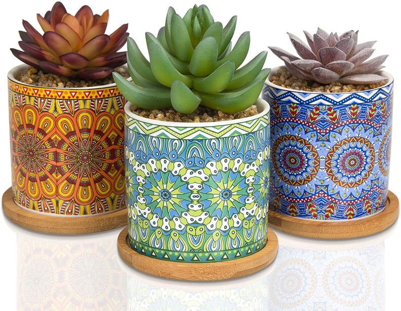 Something Colorful: Casaluxe Two-Toned Artificial Succulents in Mandala Pattern Ceramic Pots