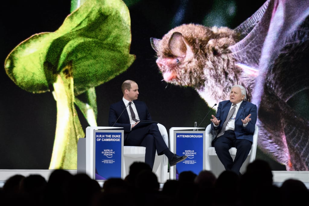 Prince William Talks With David Attenborough January 2019