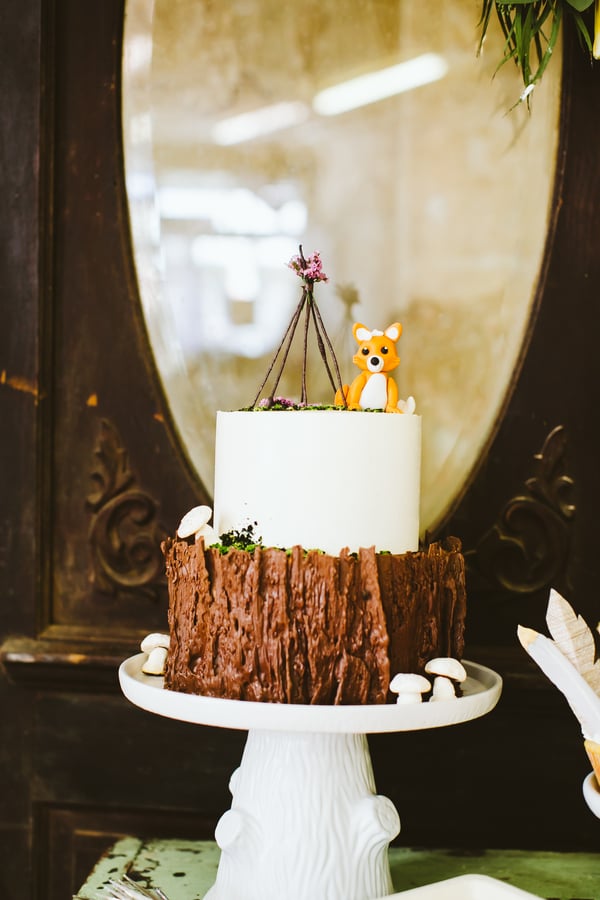 Woodland Camp Baby Shower Theme