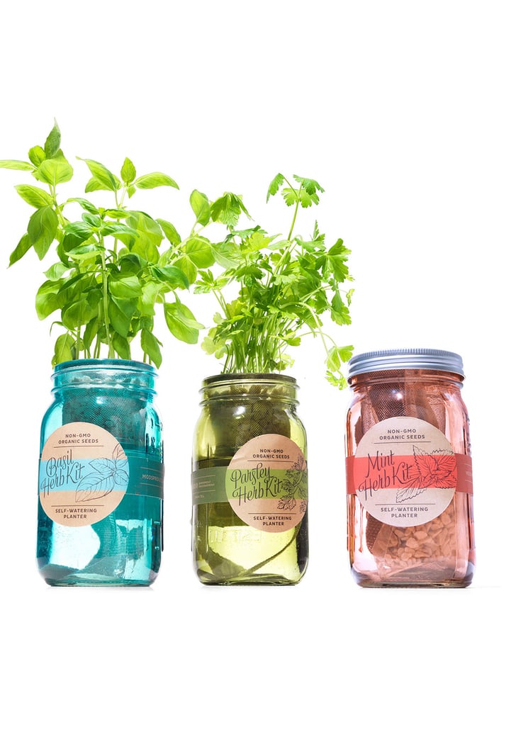 Modern Sprout Kitchen Herb Kit Gift Ideas For Moms on Oprah's