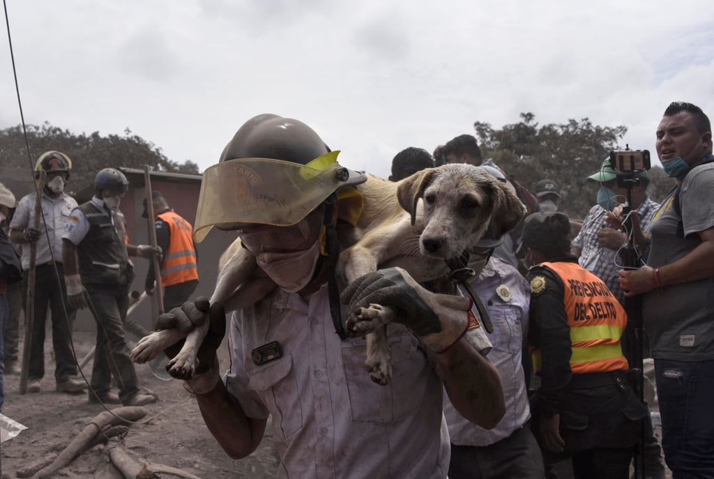 Guatemala Fuego Volcano Eruption Photos 2018