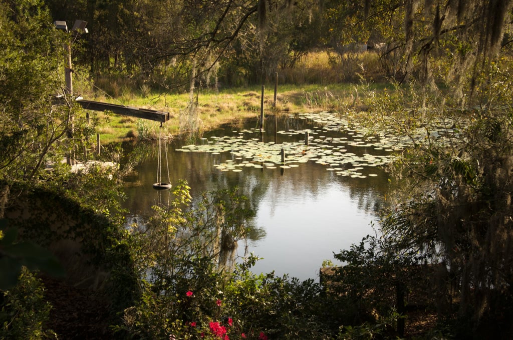 Abandoned Disney Park Photos