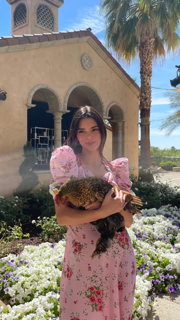 Kendall Jenner's Pink Floral Easter Dress, Matching Bikini