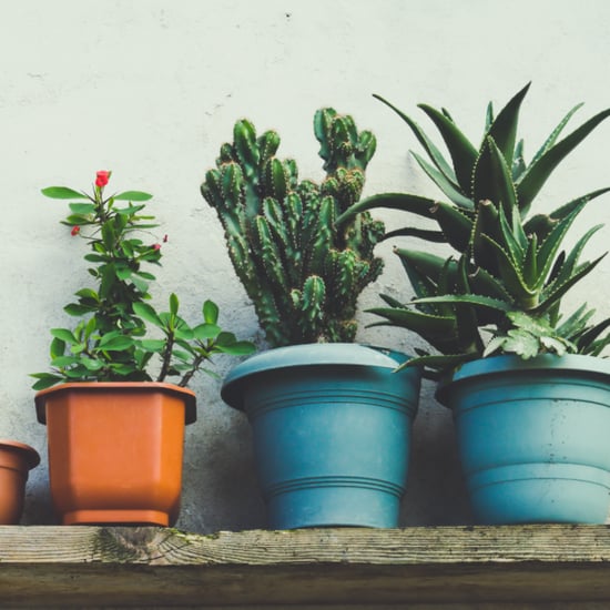 Design Updates For Nov. 3, 2015