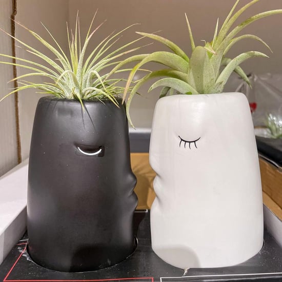 Target Has Cute Kissing Succulents For Valentine's Day