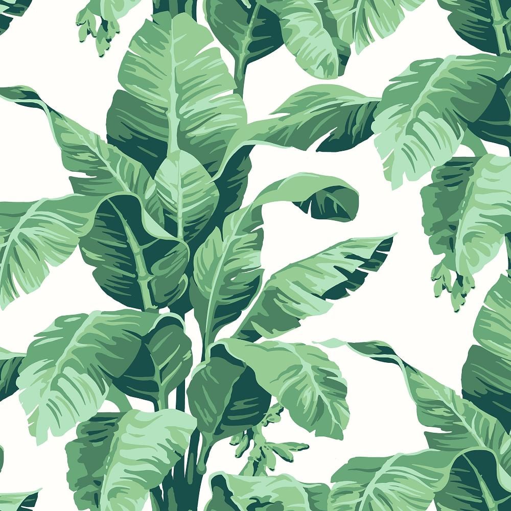 WallShoppe Tropical Leaf Print Wallpaper