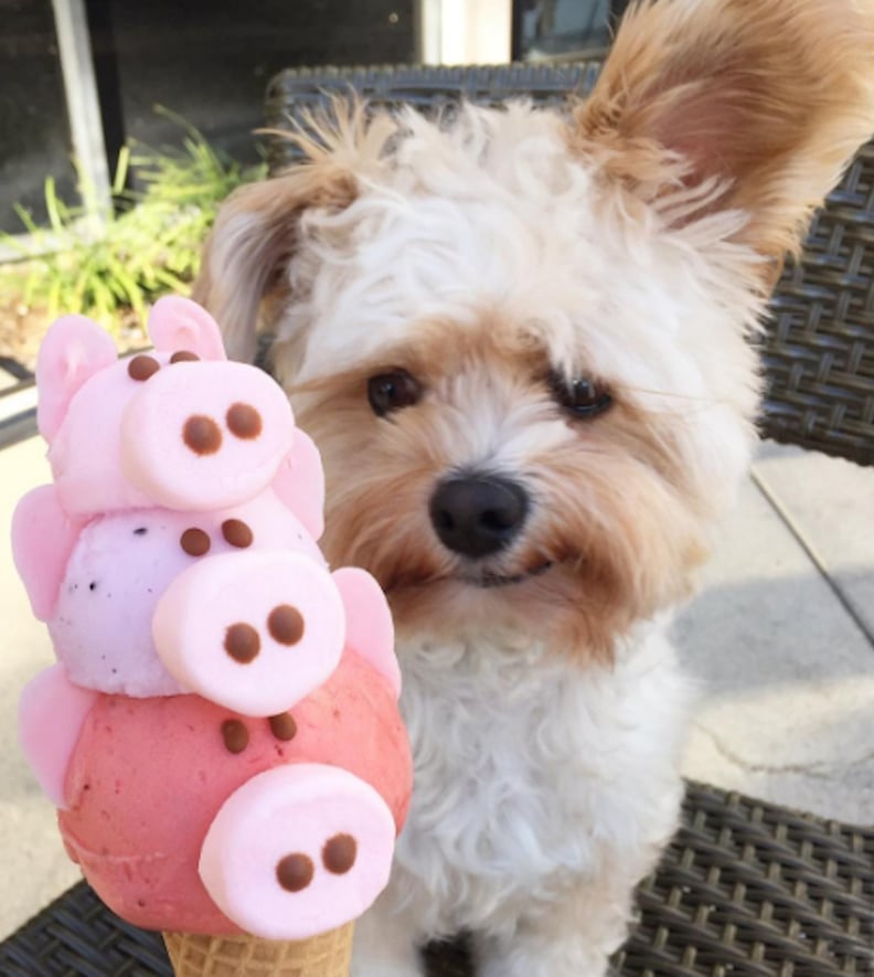 Popeye the clearance foodie instagram