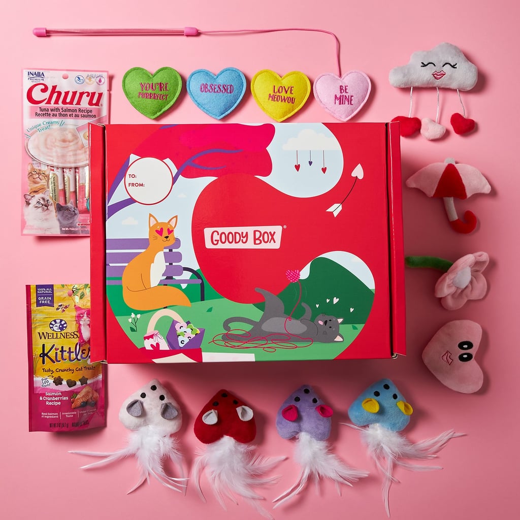 A Gift Box For Cats: Goody Box Valentine's Cat Toys & Treats