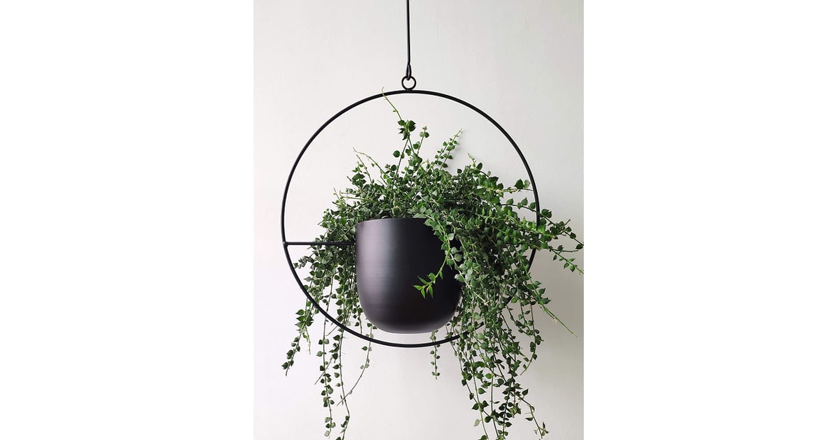 For Plant Parents Riseon Boho Black Metal Plant Hanger Best Small