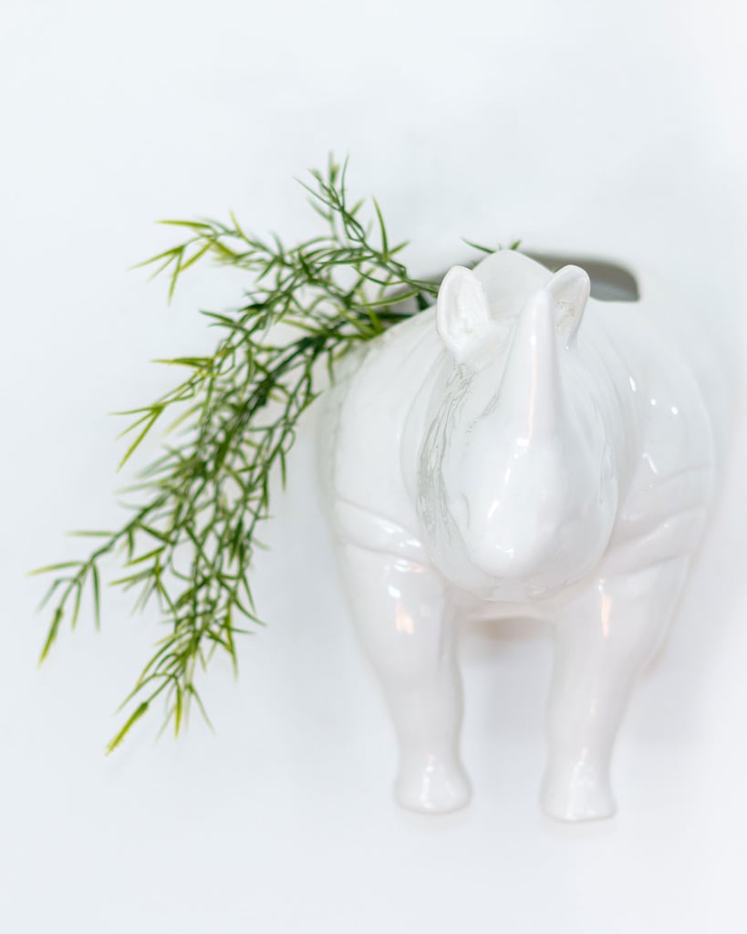 Rialheim Rhino Head Wall Planter