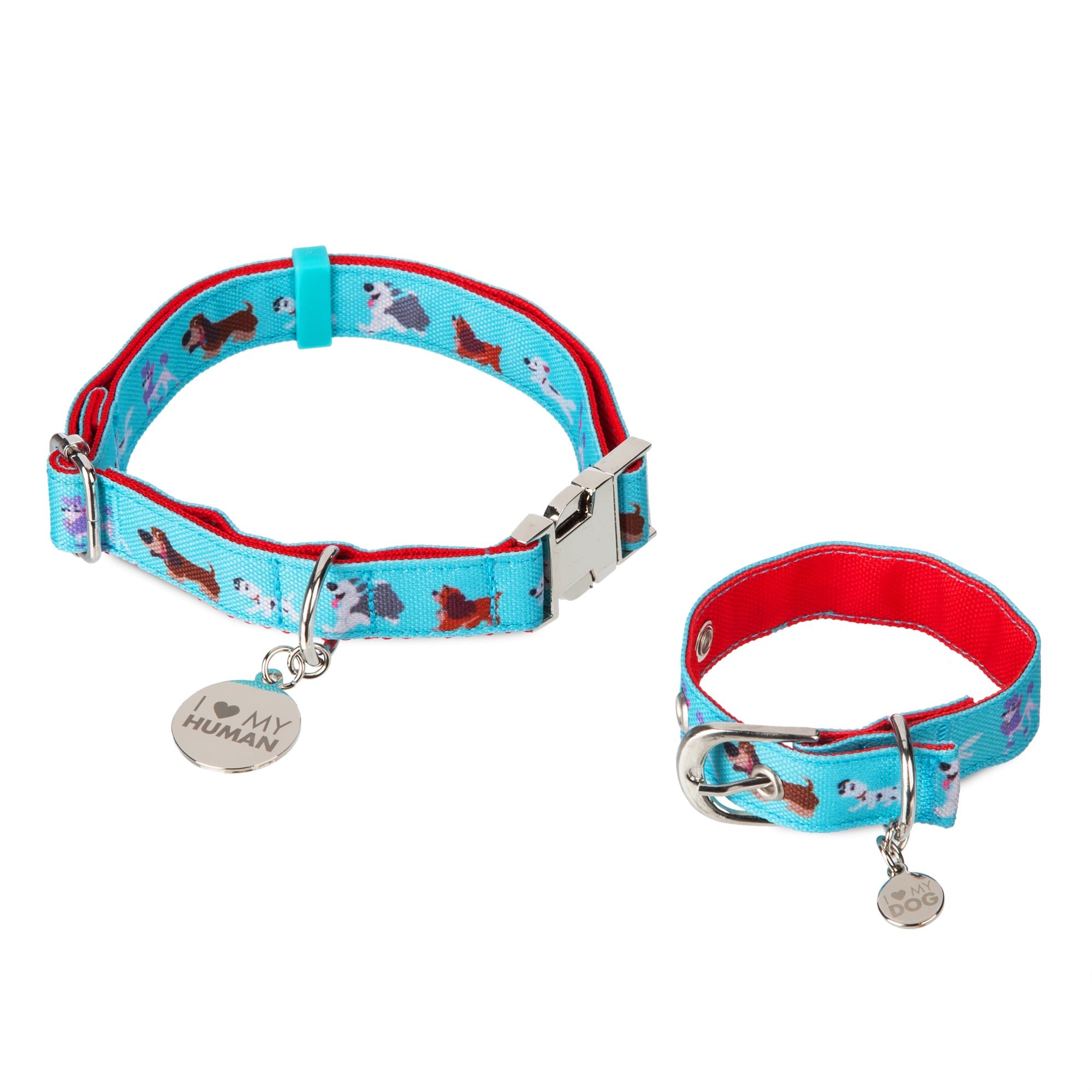 dog and owner matching collar and bracelet