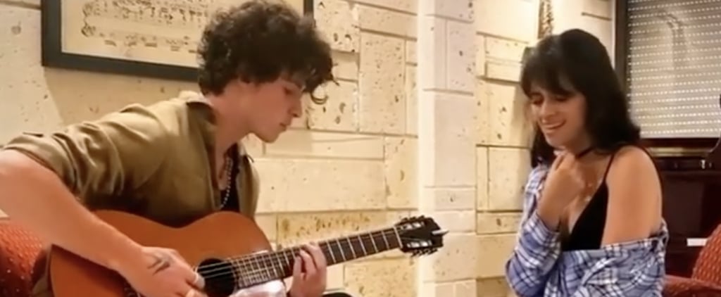 Camila Cabello and Shawn Mendes Sang "My Oh My" in Their Living Room For iHeartRadio's Concert