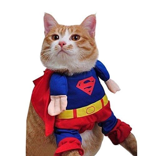 Superman Cat Costume
