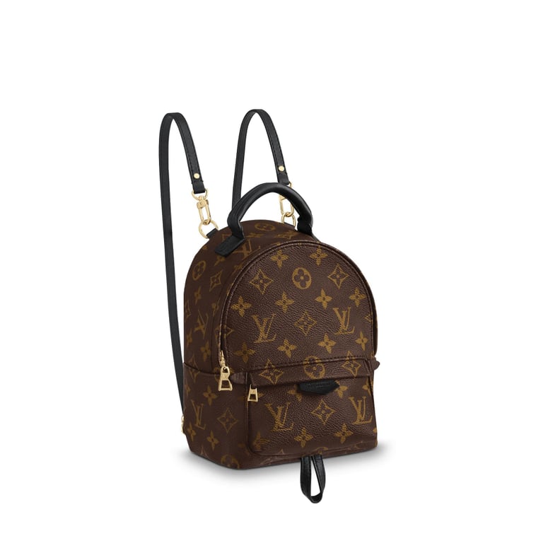 Shop Similar: Louis Vuitton Palm Springs Backpack Mini