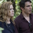 Reminder That Amy Adams and Chris Messina Starred in Another Project Before Sharp Objects