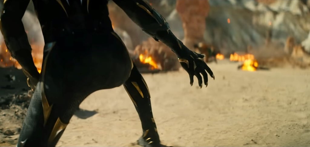 Wakanda Forever: Who Is the New Black Panther?