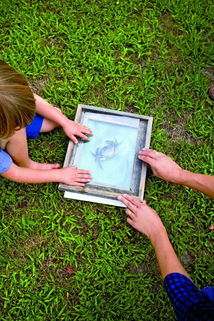 Step 2: Arrange Specimens