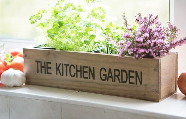 Kitchen Herb Garden Windowsill Planter
