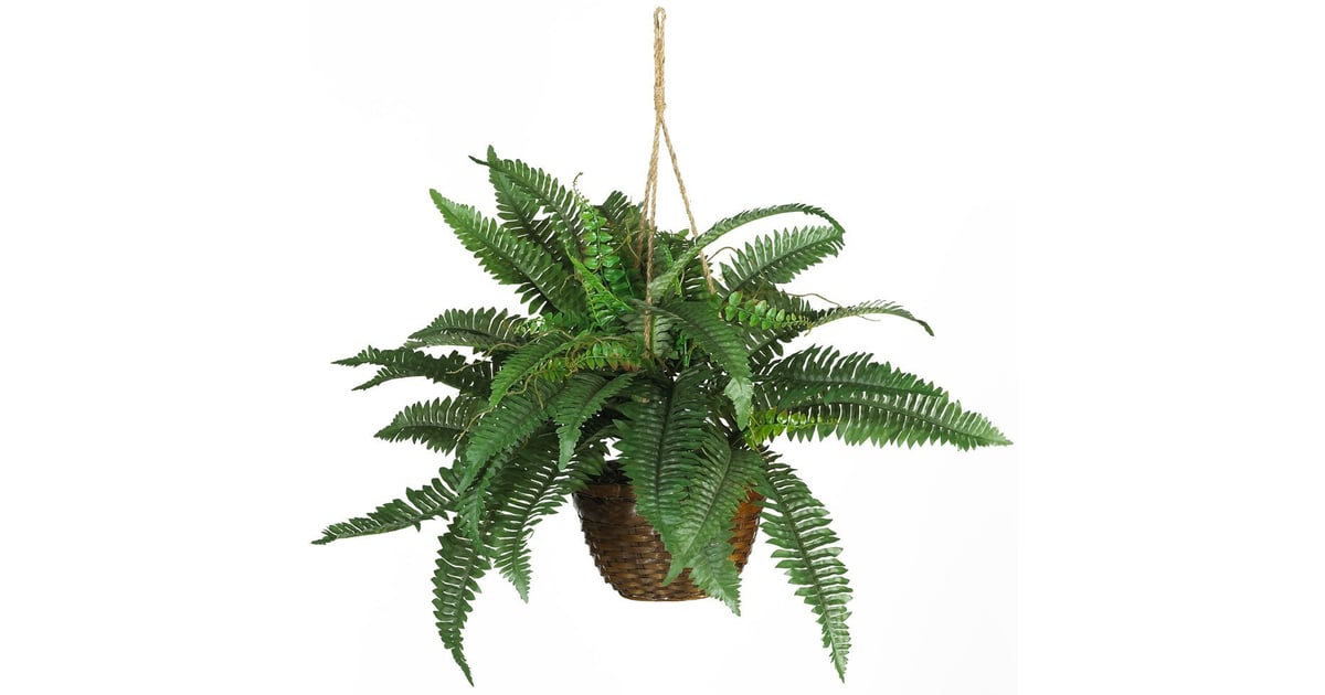 Nearly Natural Boston Fern Silk Hanging Basket Best Fake Plants POPSUGAR Home UK Photo 5