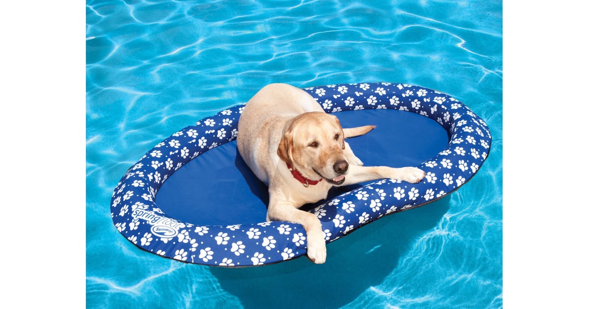 SwimWays Spring Float Paddle Paws Dog Pool Float Best Products From