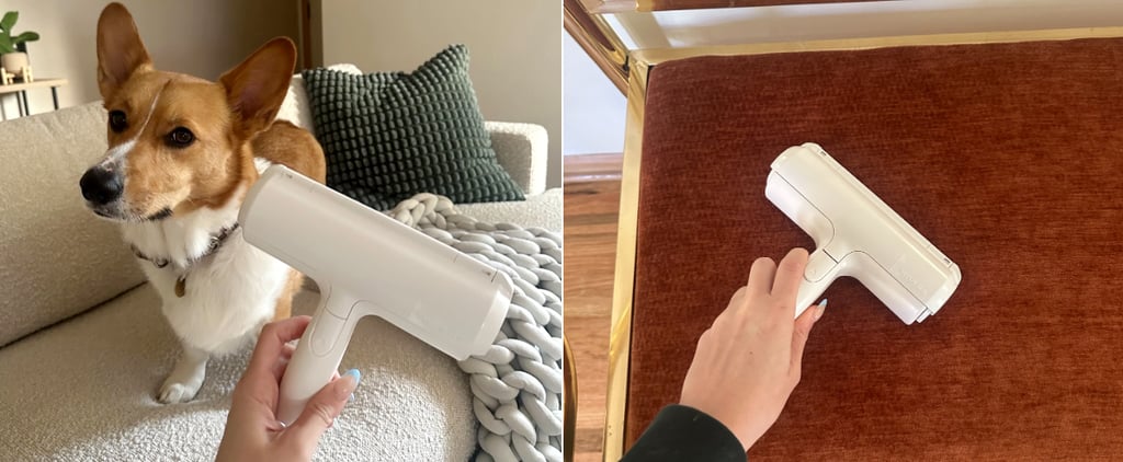 Chom Chom Roller Pet Hair Remover Review