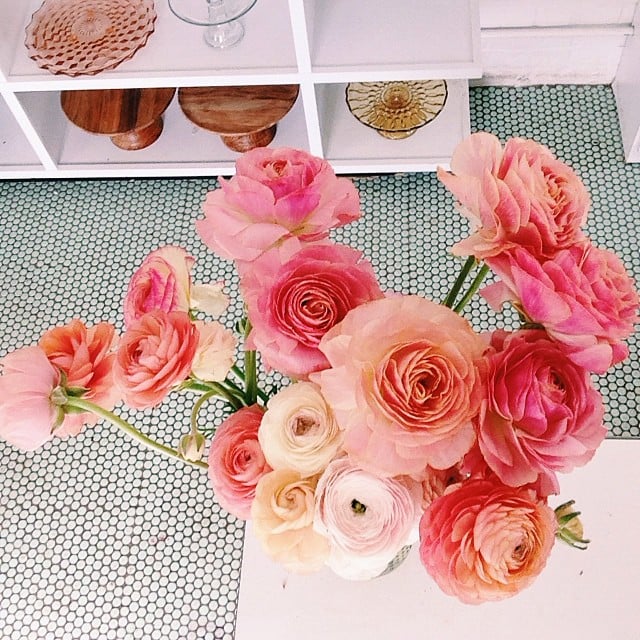 The contrast of light and dark shades of pink makes for a romantic bunch of ranunculus.
Source: Instagram user ramosce