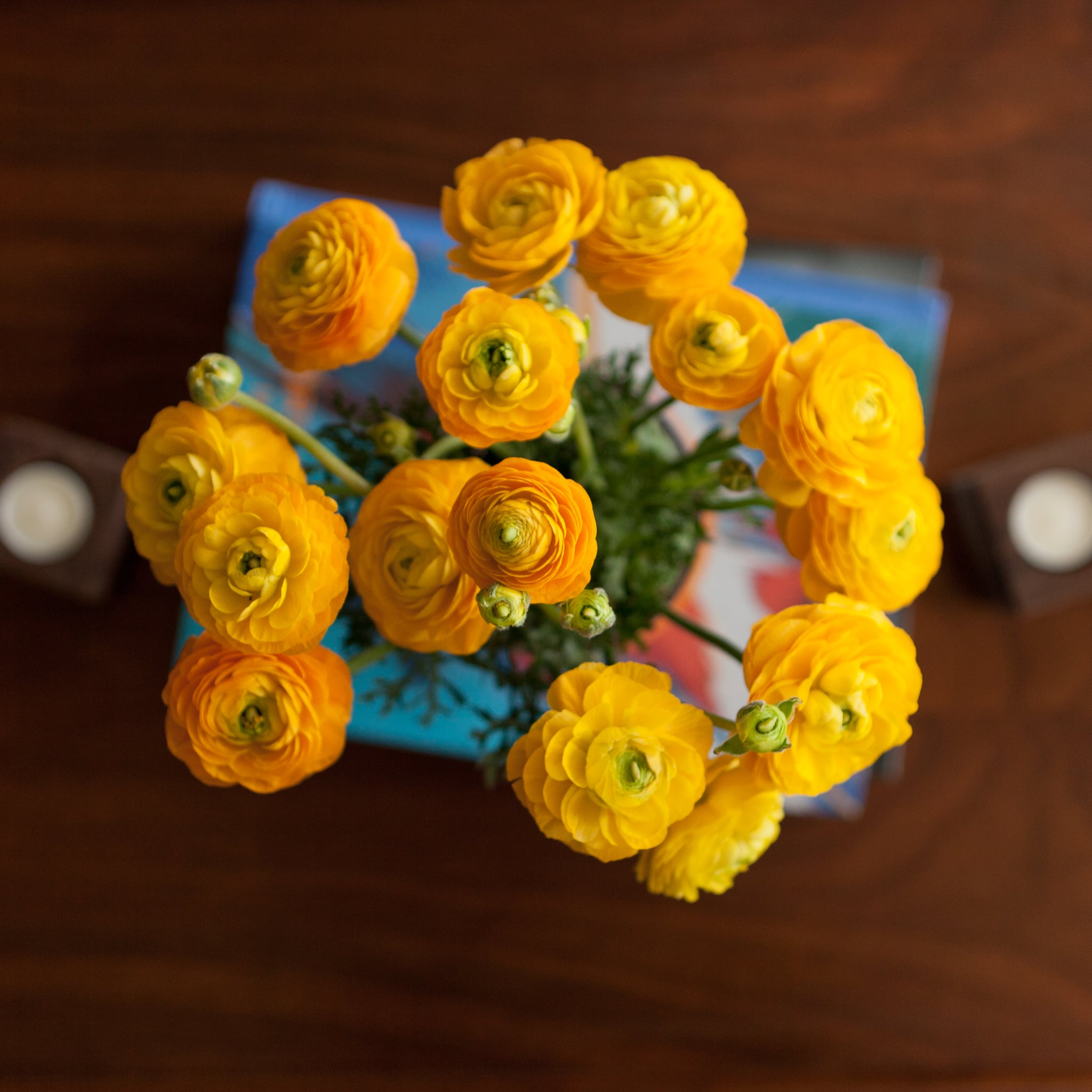 mothers day gift ideas on a budget