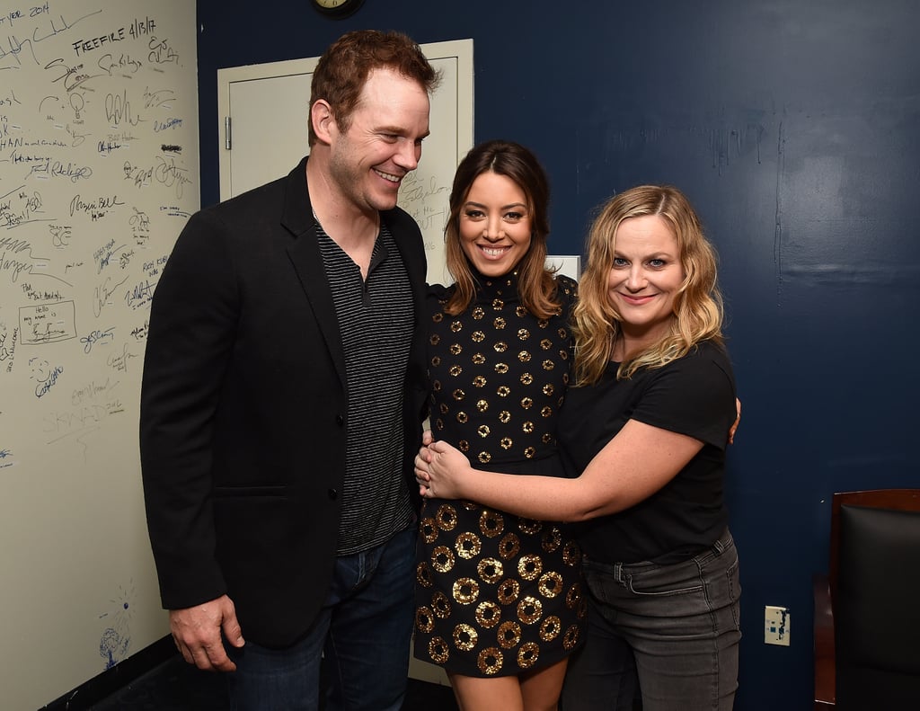 Parks and Recreation Reunion at Ingrid Goes West Premiere