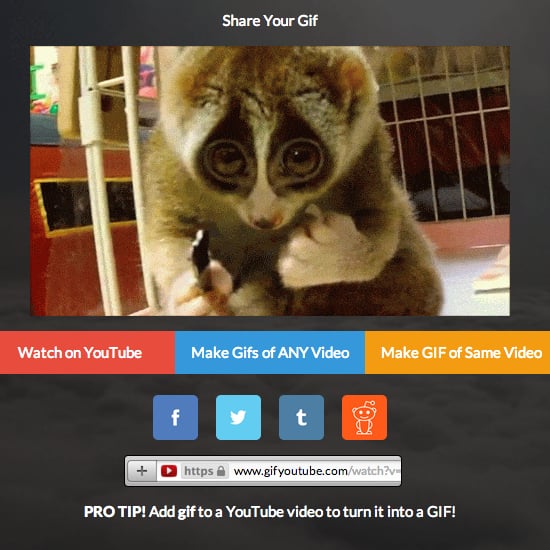 make a gif from video youtube