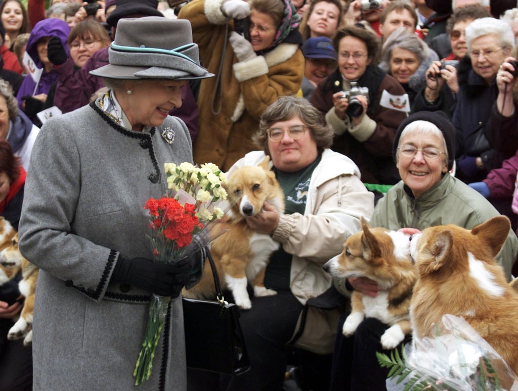 Why Did Queen Elizabeth Have So Many Corgis?