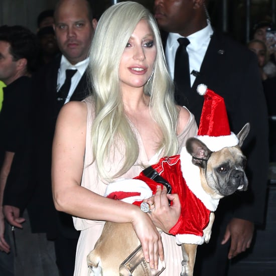 Lady Gaga and Taylor Kinney Dress Their Dogs Like Santa