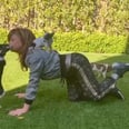 Please Enjoy Paula Abdul Being Chased by Her 3 Chihuahuas During Her At-Home Workout