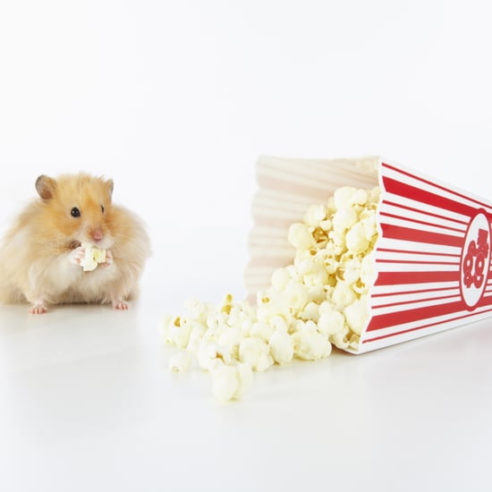 How to Watch Movies For Free