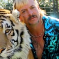 Tiger King: The Wild Story of Murder For Hire and Big-Cat Breeding Behind Netflix's New Doc