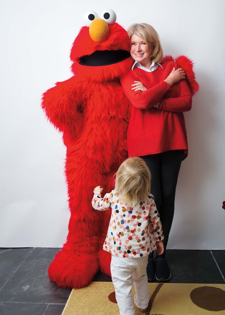 Martha Stewart's Elmo Birthday Party