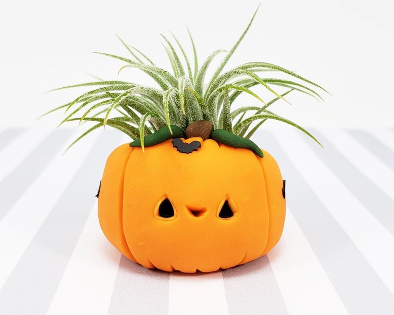 Jack-O'-Lantern Pumpkin Air Plant Holder