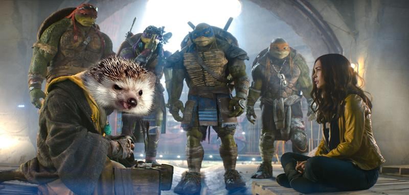 Splinter/Ninja Turtle Biddy