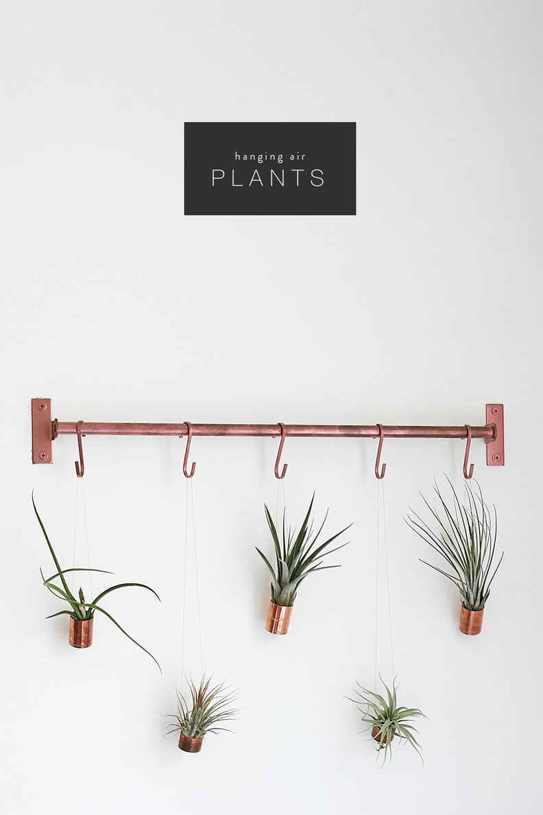 Hanging Planters